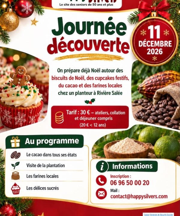 Journée découverte de Noel en Martinique
