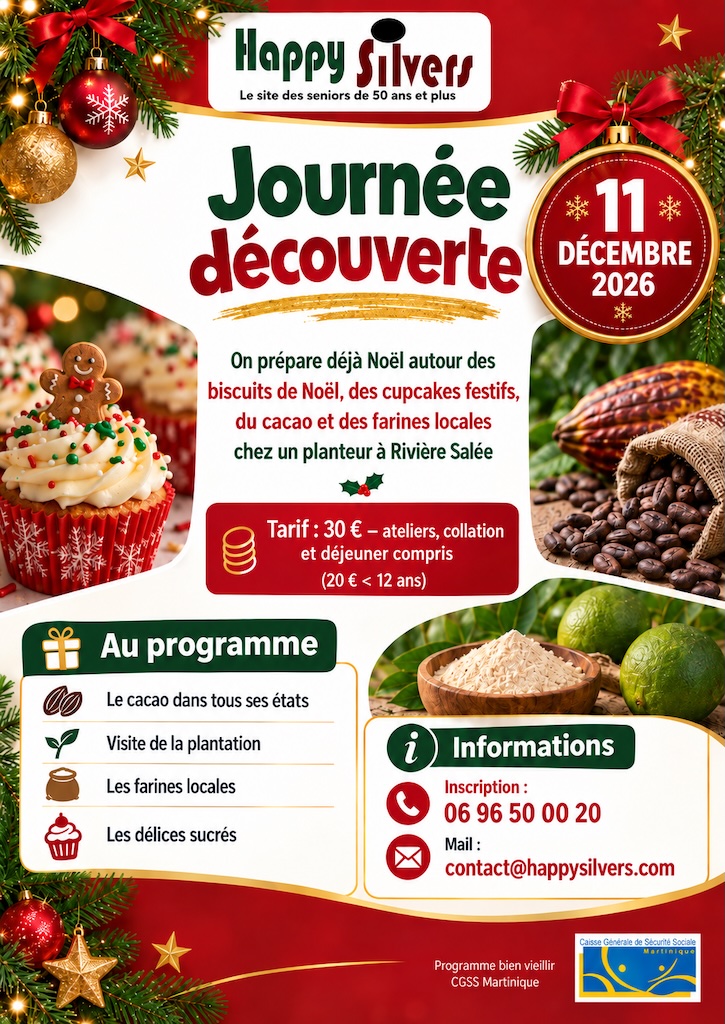 Journée découverte de Noel en Martinique